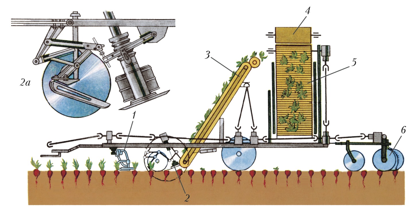ботвоуборочные машины устройство (98) фото
