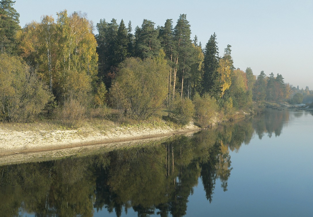 Нижегородский заповедник. Река Керженец Керженский заповедник. Заповедник Керженец Нижегородской области. Рустай Керженский заповедник. Заповедники Нижнего Новгорода.