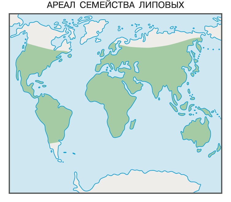 Ар алы. Ареал растение. Семейство ильмовые ареал. Ареал семейства бобовых. Ареал пальм.