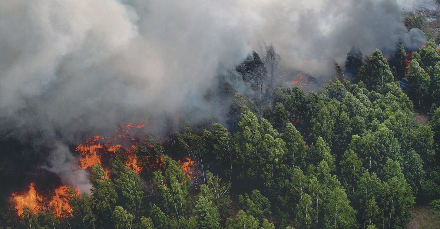 Лесные пожары 2 класс. Природные ЧС природные пожары. ЧС Лесные пожары. Пожар на природе. Природные явления пожар.