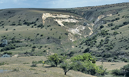 Маклер в бельцах мебель