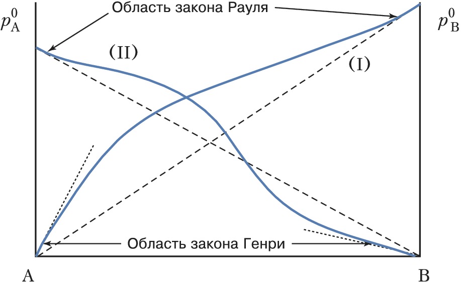 Вы точно человек?