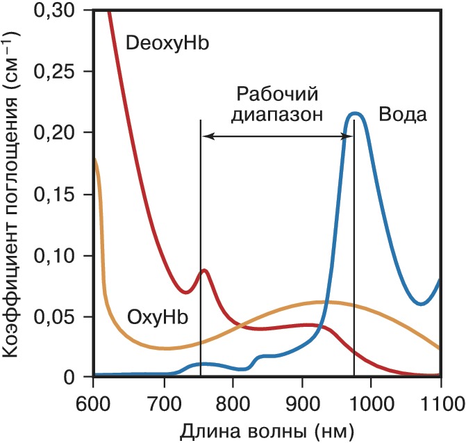 Длина волны в воде. Спектры поглощения Окси и дезоксигемоглобина. Спектр поглощения метгемоглобина. Спектры поглощения различных соединений гемоглобина. Спектр поглощениядезоксигемоглобина.