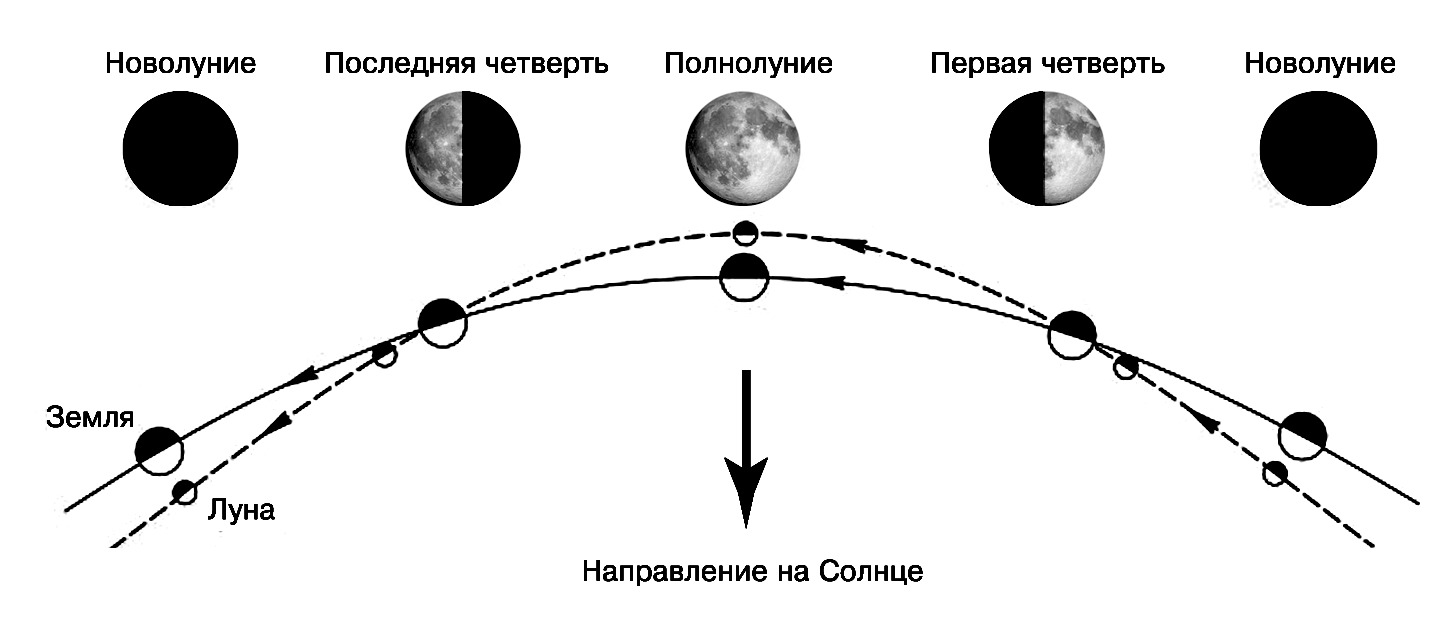 Фазы луны картинки схема