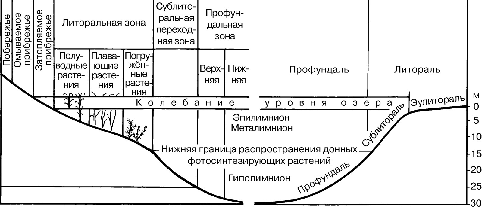 Рябчиков а м структура высотной зональности ландшафтов суши фото 103