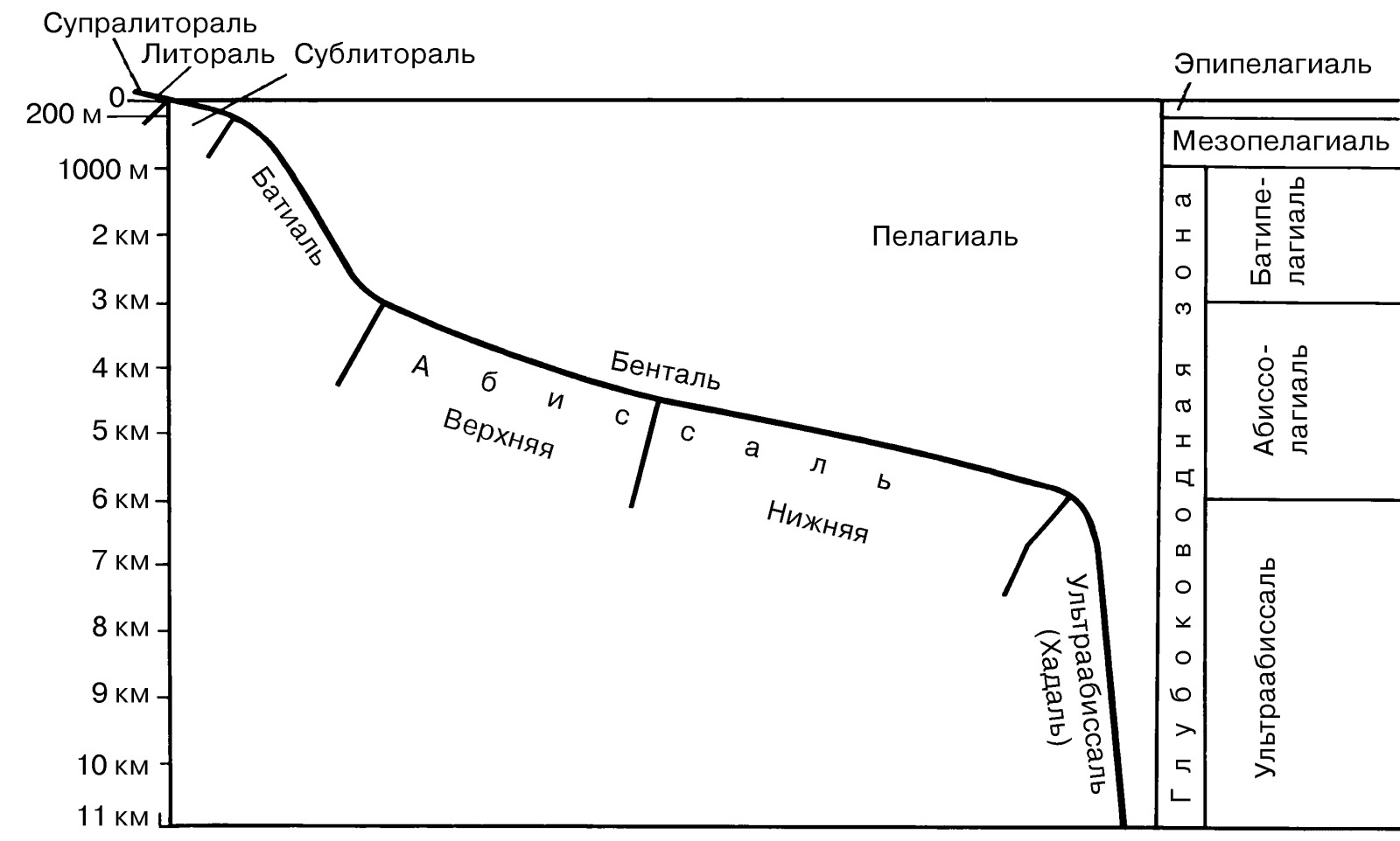 Рябчиков а м структура высотной зональности ландшафтов суши фото 38