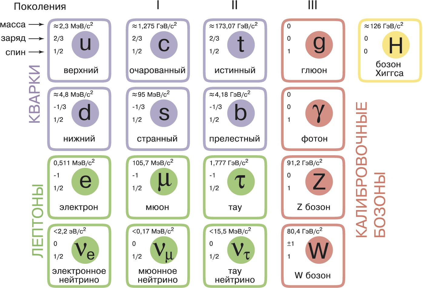 Стандартная модель элементарных частиц таблица